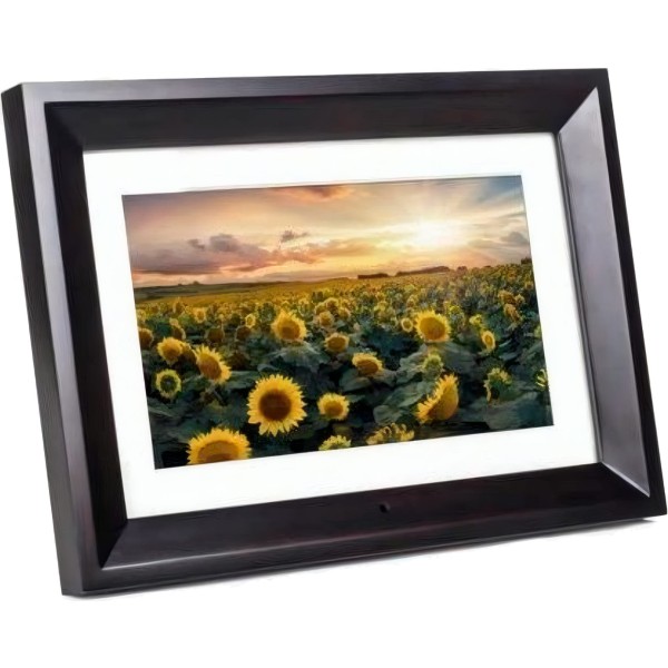 Kodak rdpf1020b black / marco digital 10"